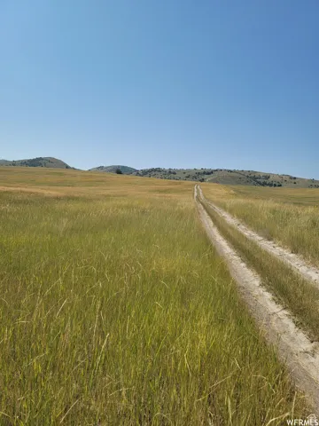Expansive open field featuring natural grasses and a clear path