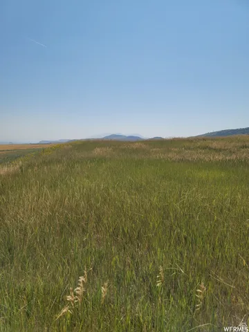 Expansive open field with varied green and golden grasses