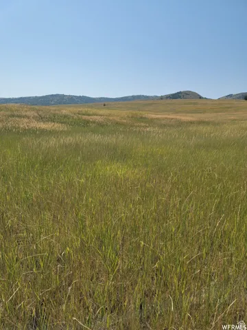 Expansive open field featuring natural grasses and distant tree-covered hills under a clear sky