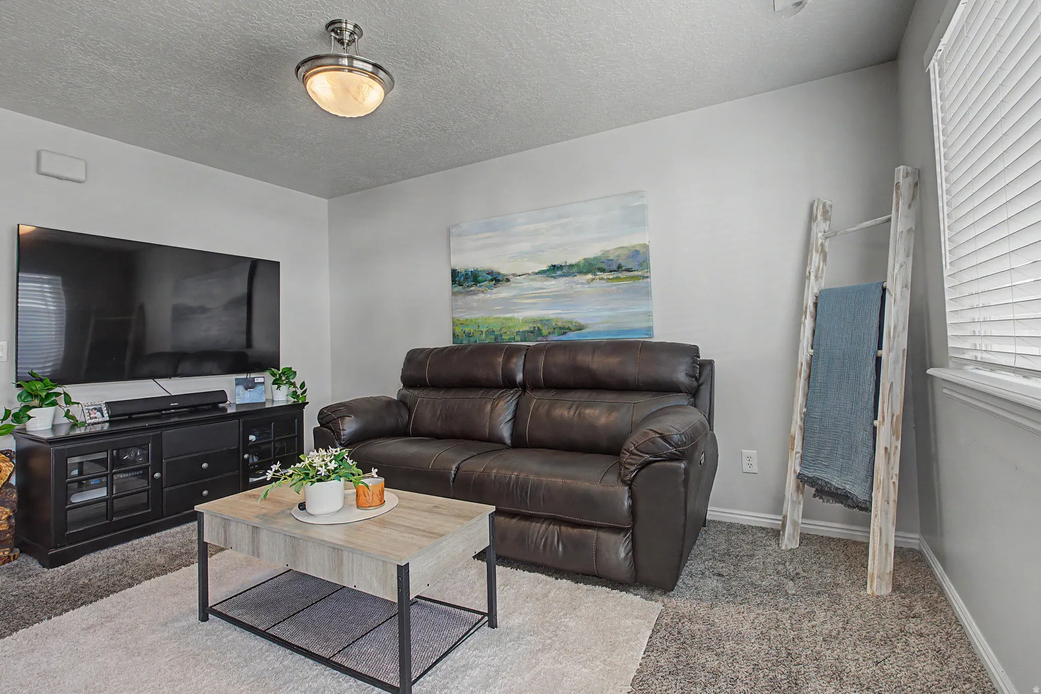 Living area featuring neutral wall tones, textured carpeting, a flush-mount ceiling light fixture, and horizontal window blinds