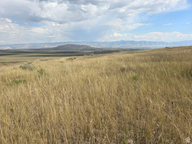 Expansive open field with natural grasses and distant mountain ranges under a partly cloudy sky