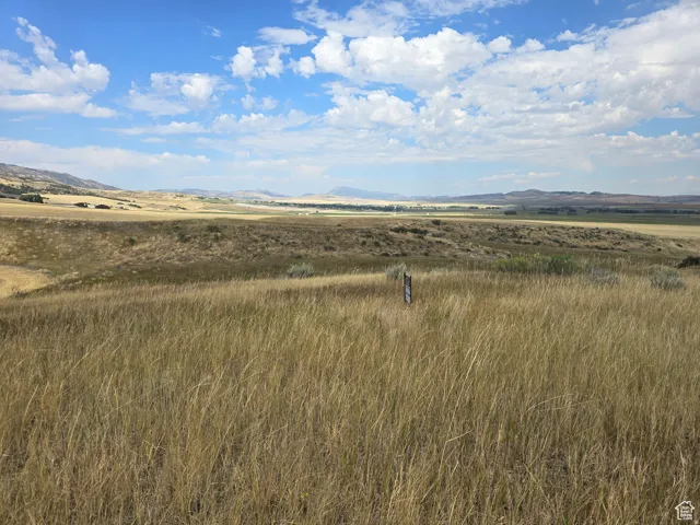 Expansive, undeveloped acreage featuring natural golden grasses and distant mountain ranges