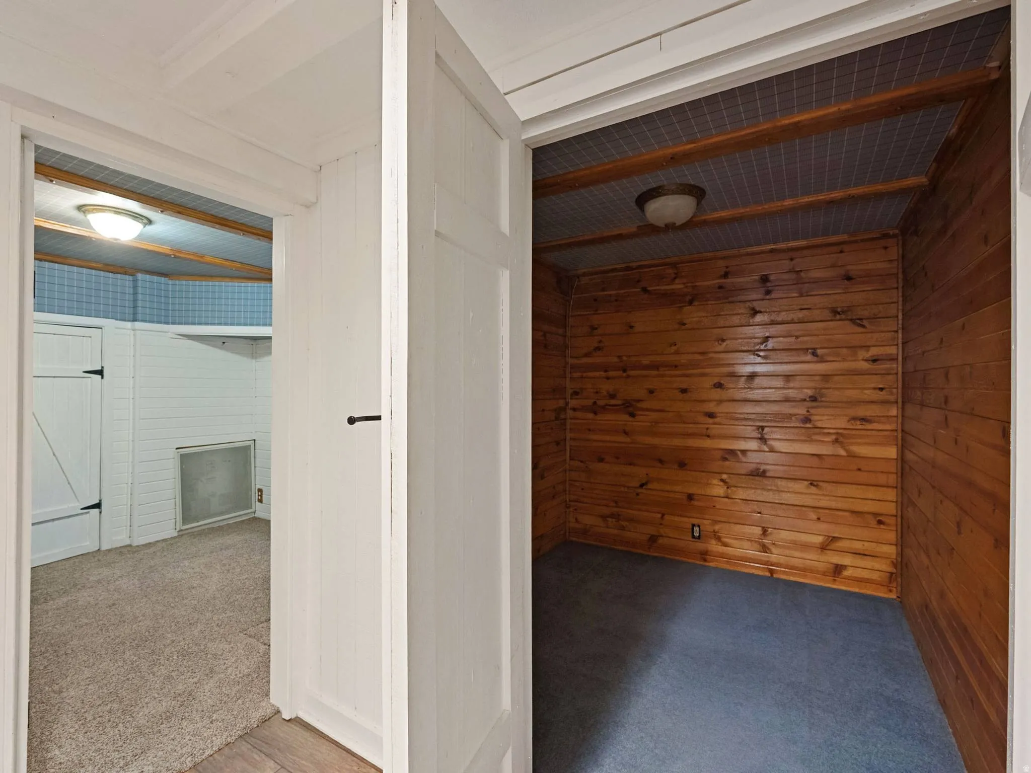View of basement walk-in closet / storage room.