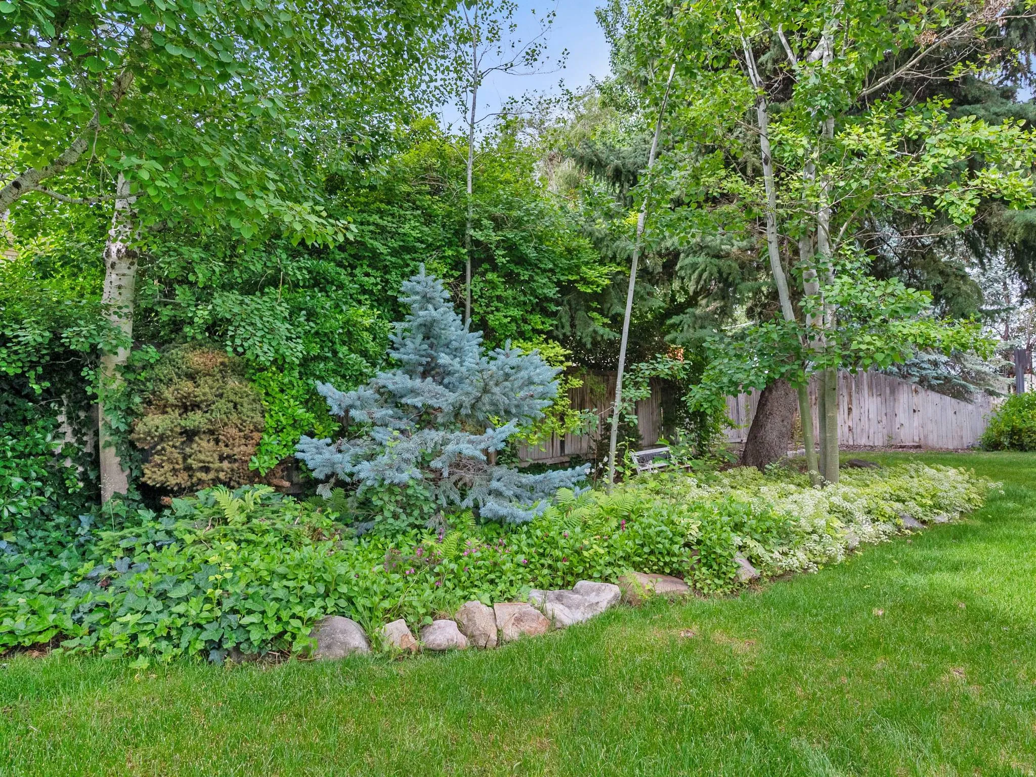 Another view of the backyard showing lush landscaping.