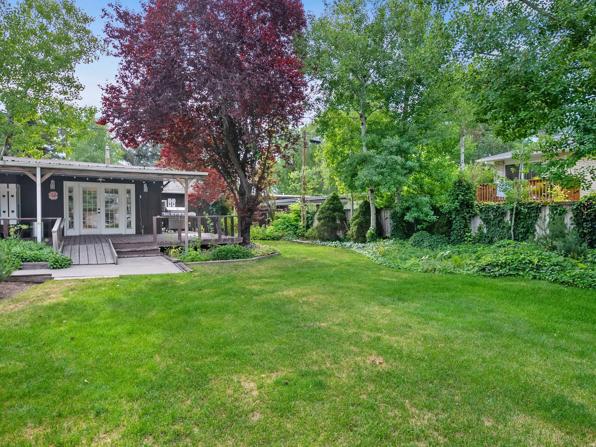Another view of the backyard.
