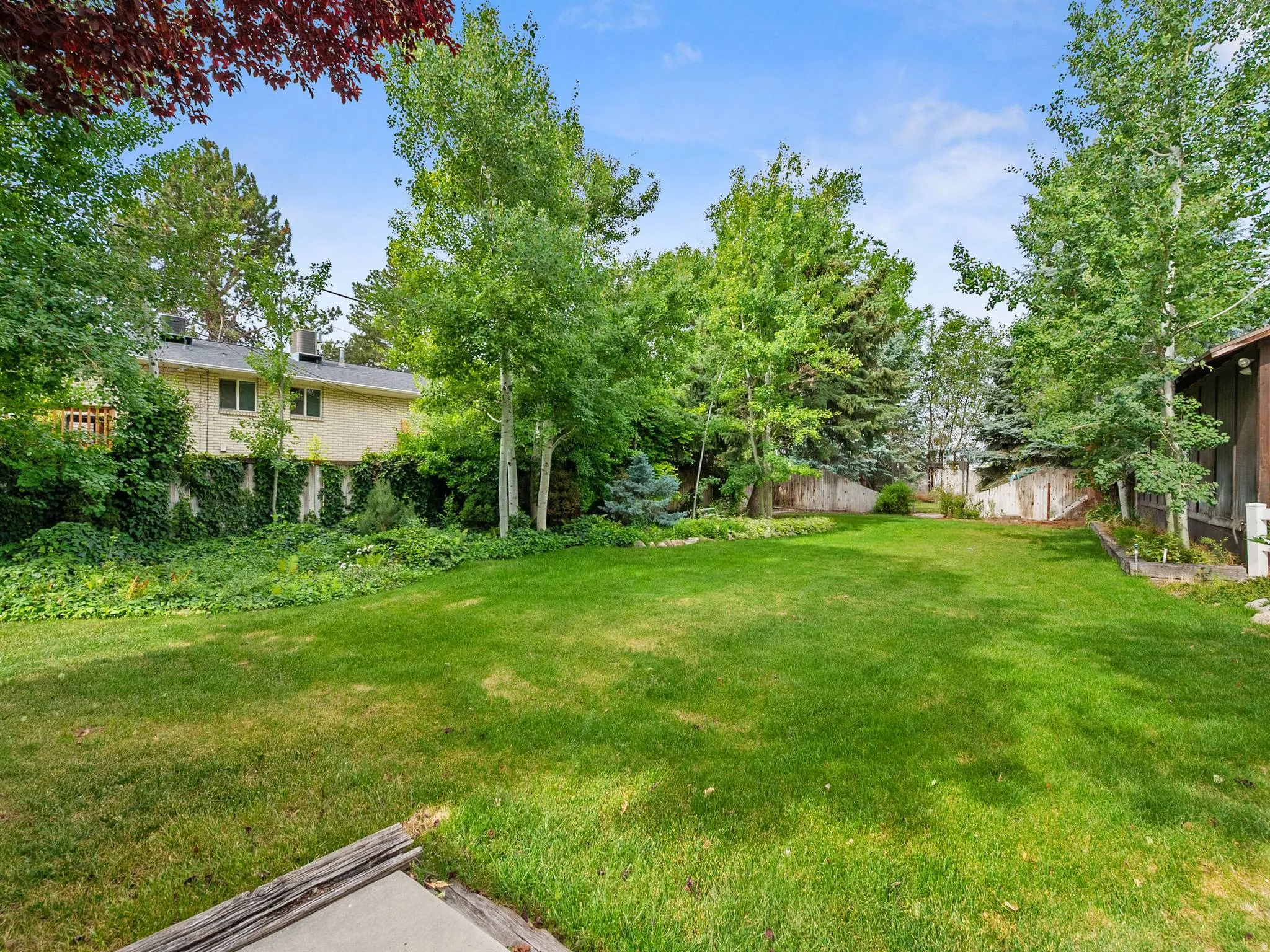 Expansive backyard featuring a manicured lawn, mature trees, and privacy fencing