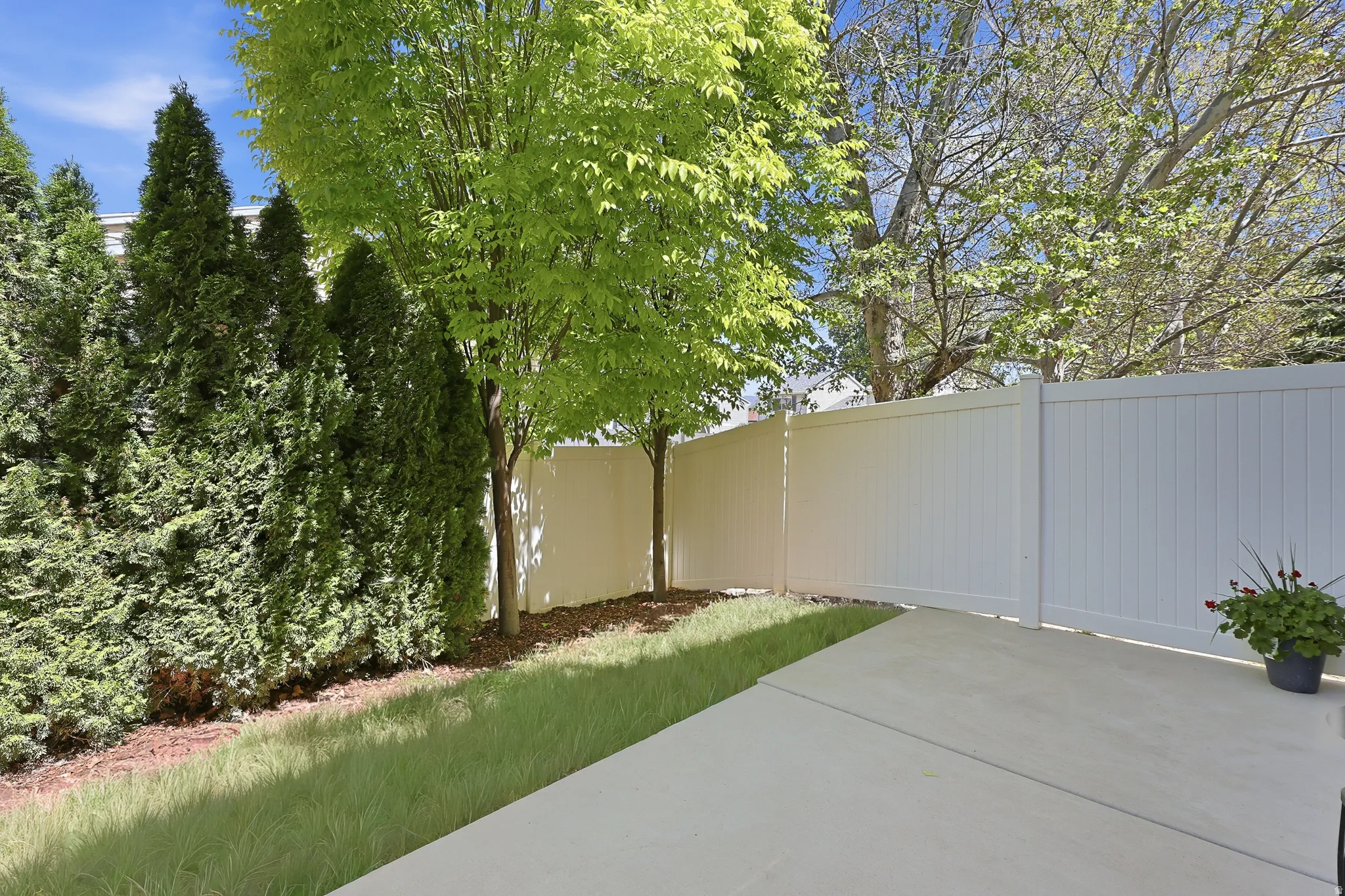 Outdoor living area featuring a concrete patio, a white privacy fence, and mature evergreen trees