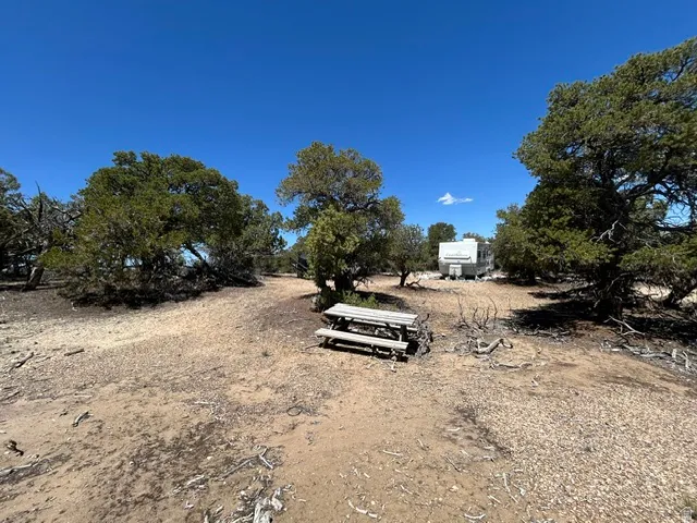 Expansive desert landscape featuring mature trees and a rustic picnic table