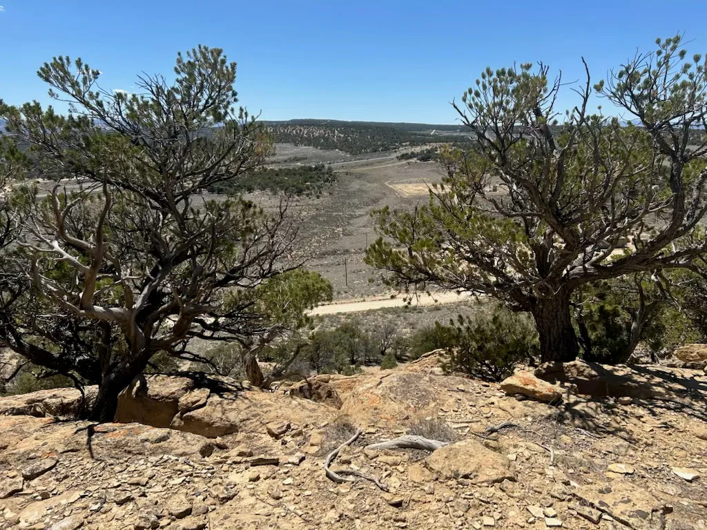 Expansive land parcel featuring native trees, rugged terrain, and distant mountainous topography under a clear sky