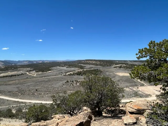 Expansive natural landscape featuring rolling hills, scattered evergreen trees, and a clear blue sky