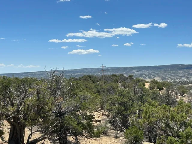 Expansive natural landscape featuring scattered trees and brush under a bright blue sky with scattered clouds