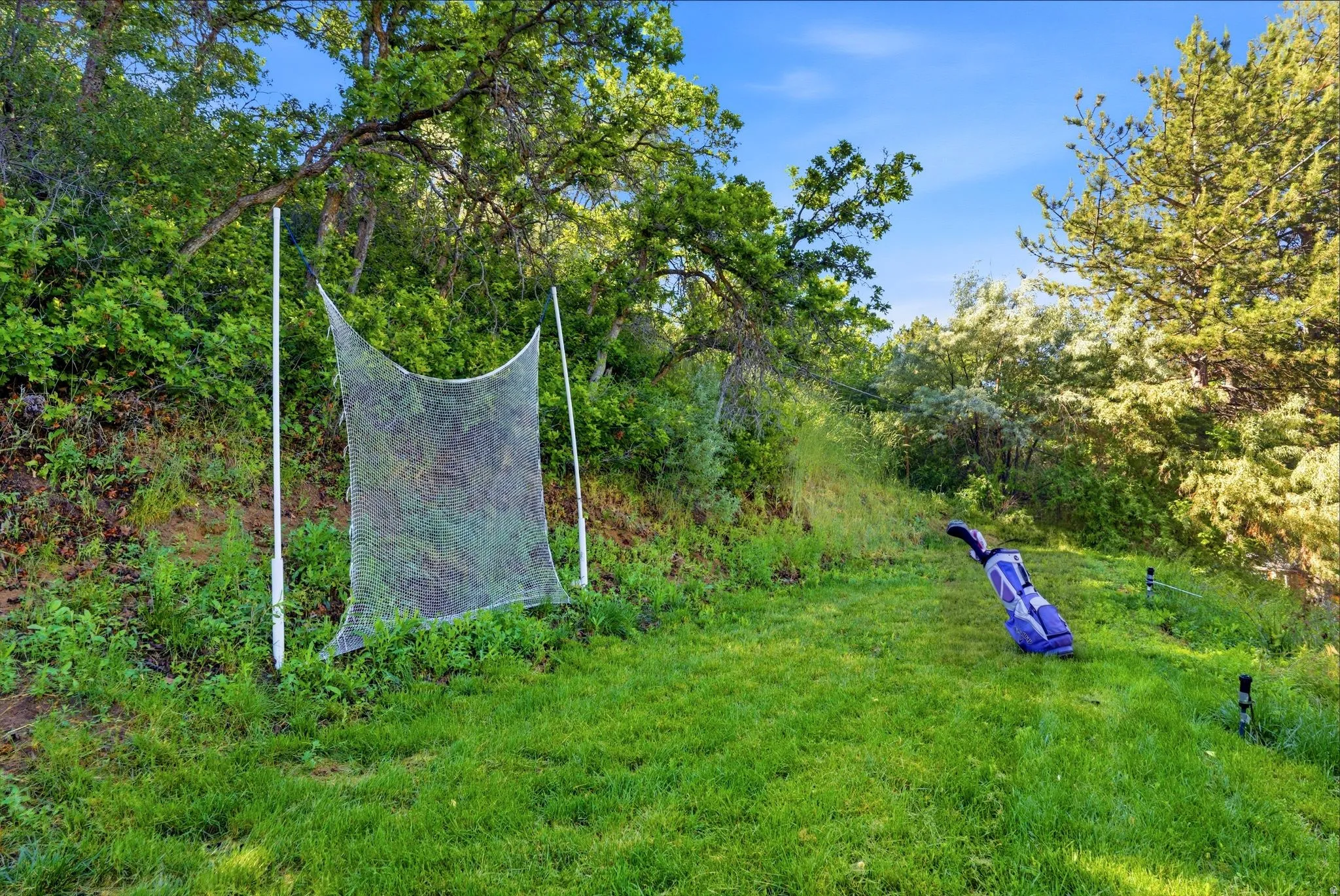 Expansive backyard area featuring a golf netting system for practice and lush, mature trees