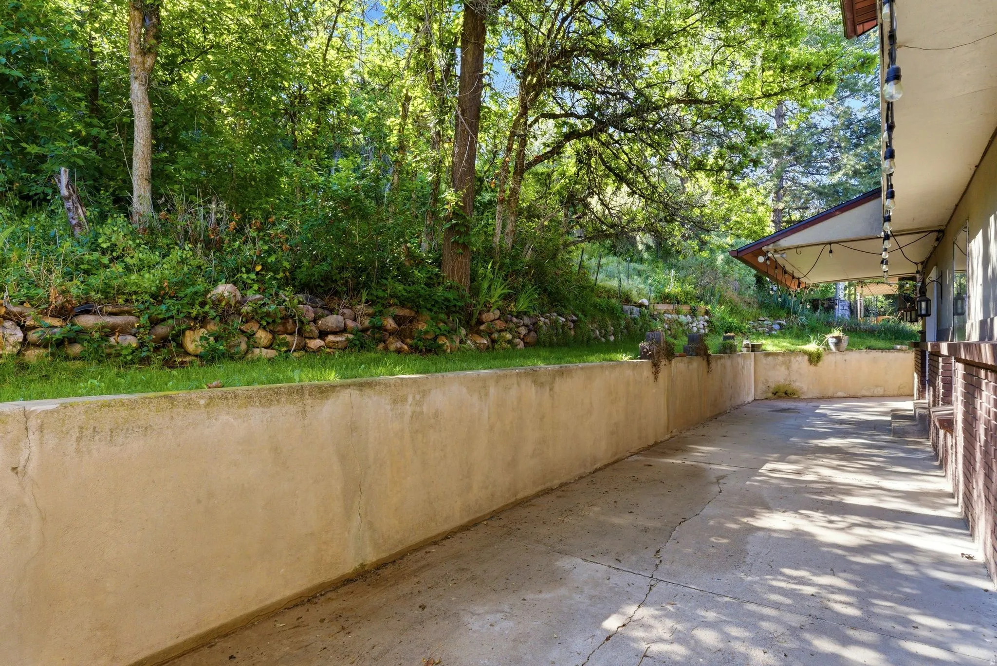Back yard patio space