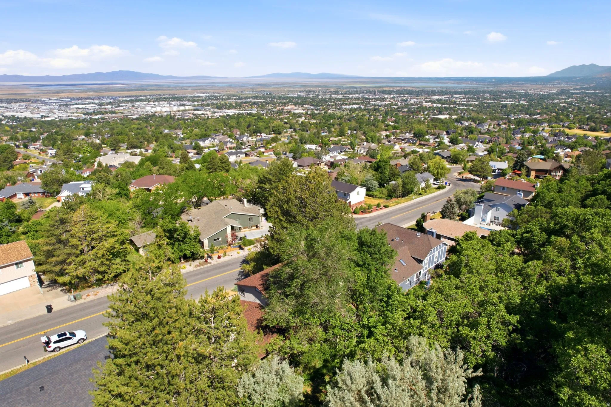 Expansive neighborhood setting with established tree cover and distant mountain ranges