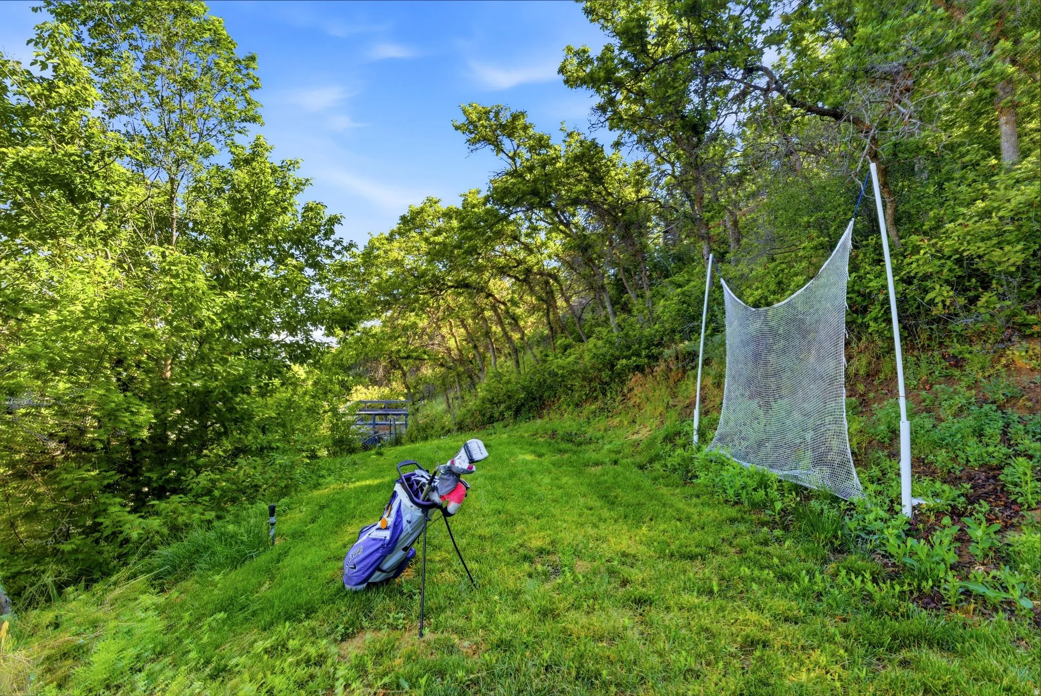 Expansive green space featuring a golf practice net and mature trees