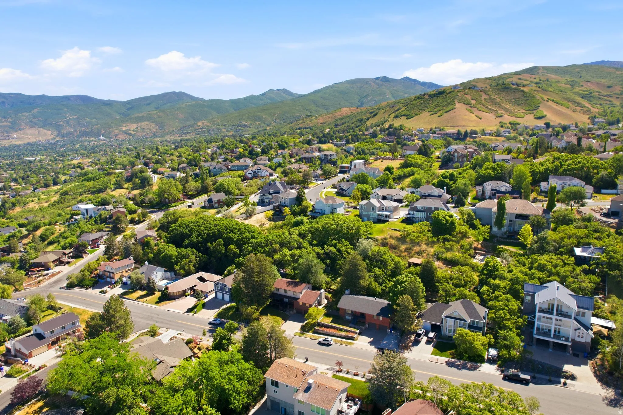Expansive residential area featuring a variety of architectural styles, mature trees, and mountainous terrain
