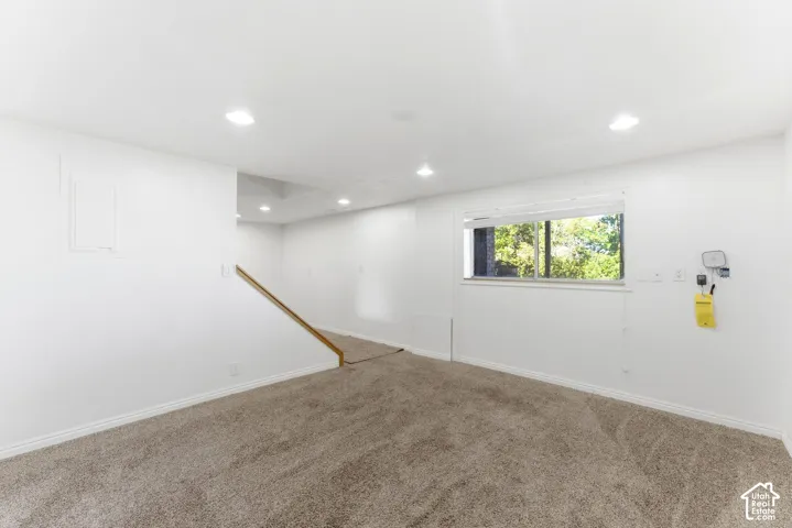 Lower level family room