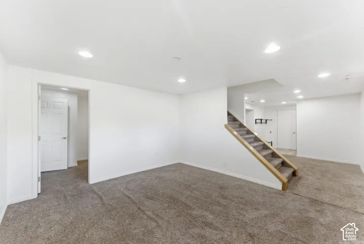 Lower level family room