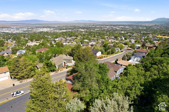 Expansive neighborhood setting with established tree cover and distant mountain ranges
