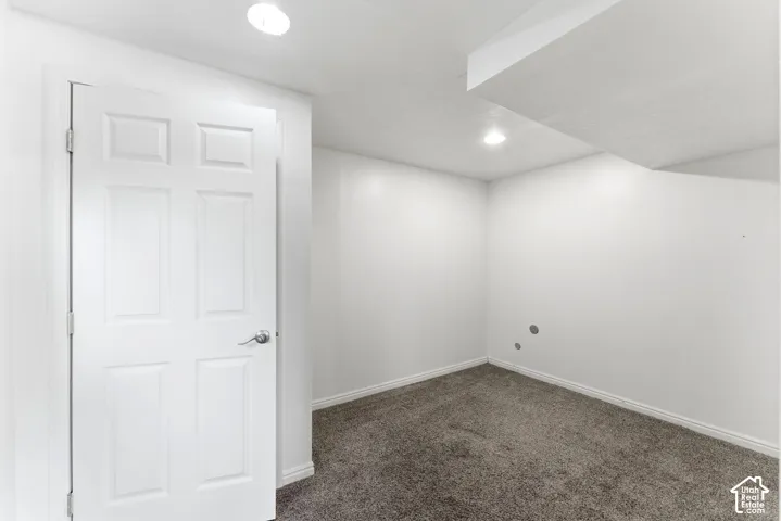 Lower level bedroom