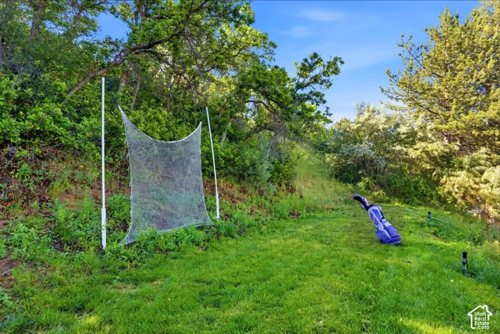 Expansive backyard area featuring a golf netting system for practice and lush, mature trees