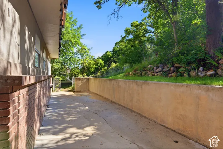 Back yard patio space