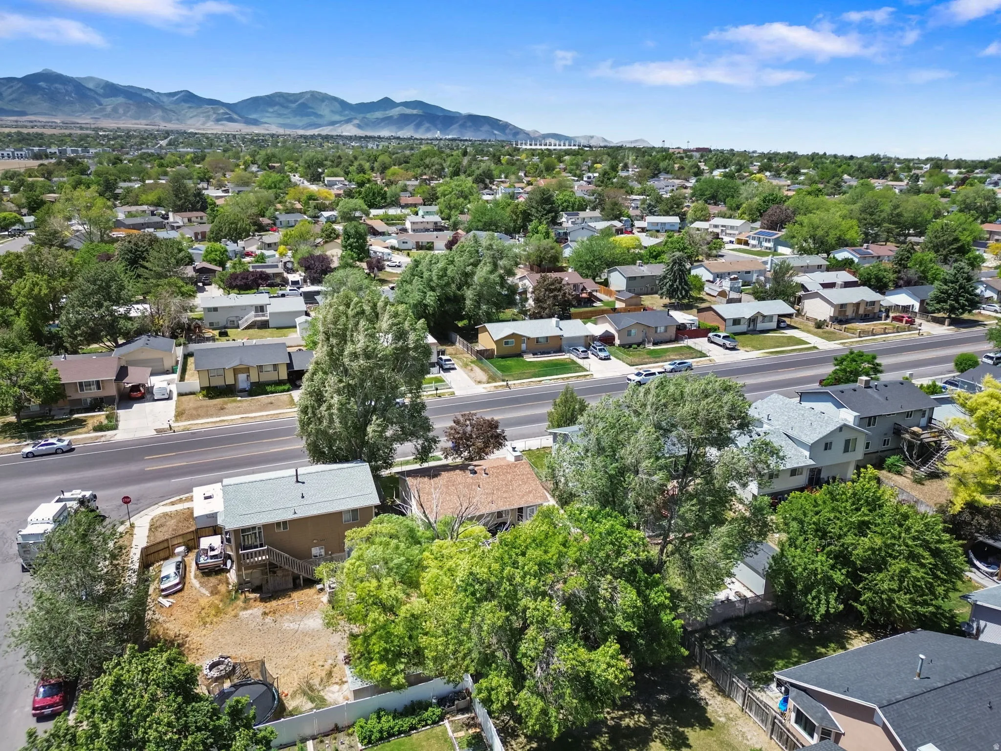 Residential area featuring mature trees and mountain scenery