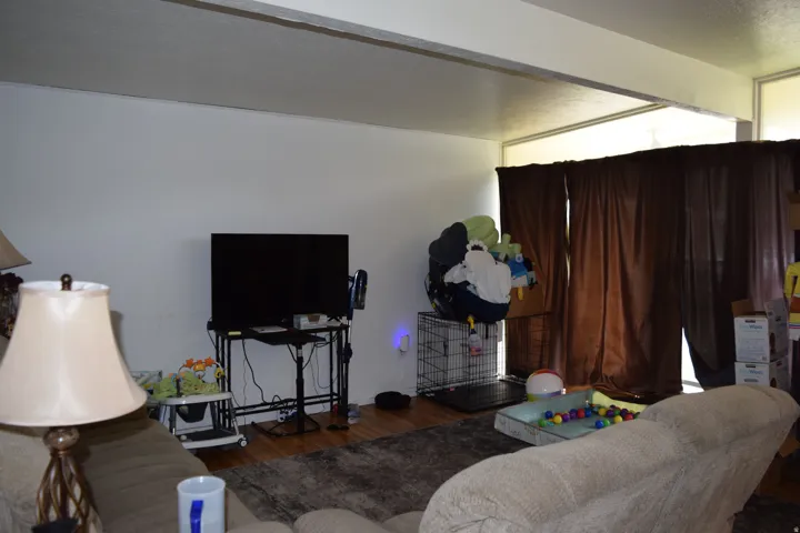 Image quality insufficient for description