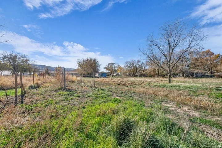 Expansive grassy area with natural landscaping and mature trees