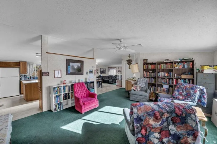 Open-concept living area featuring green carpet flooring, a ceiling fan, and a partial wall separating spaces