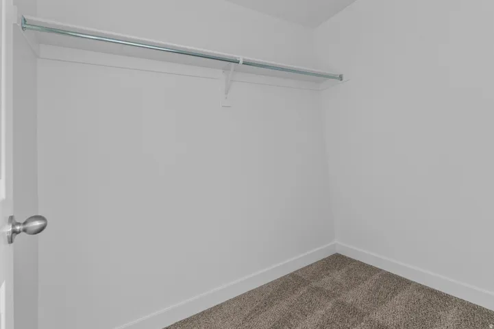 Integrated closet featuring a single hanging rod, elevated shelf, and carpet flooring