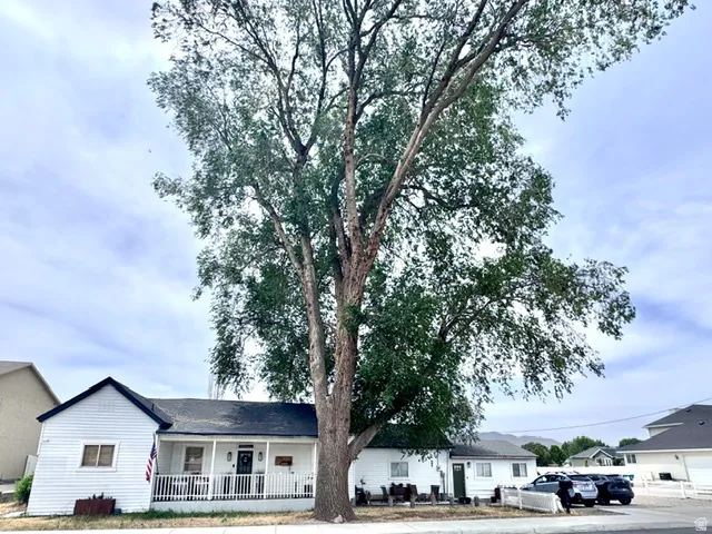 White siding exterior with a prominent mature tree