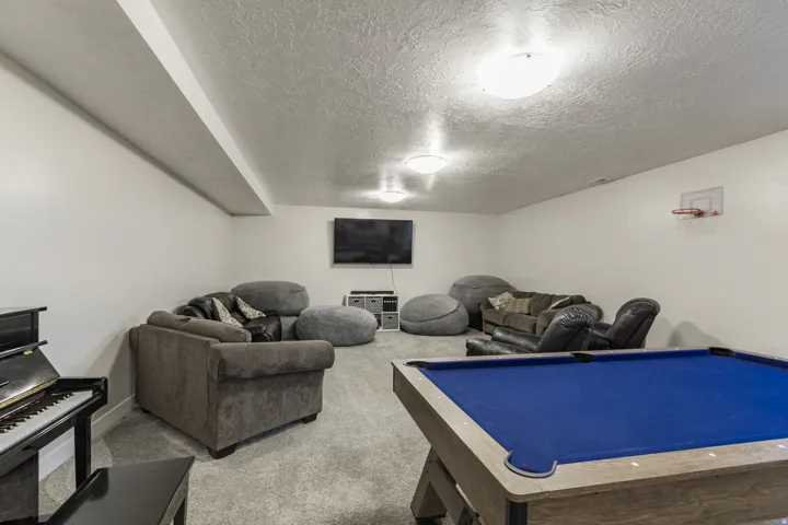 Basement Family Room