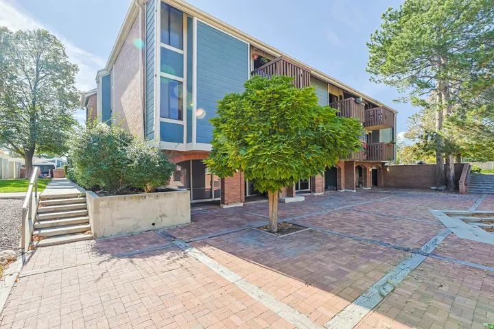 Brick paver courtyard with a central tree feature