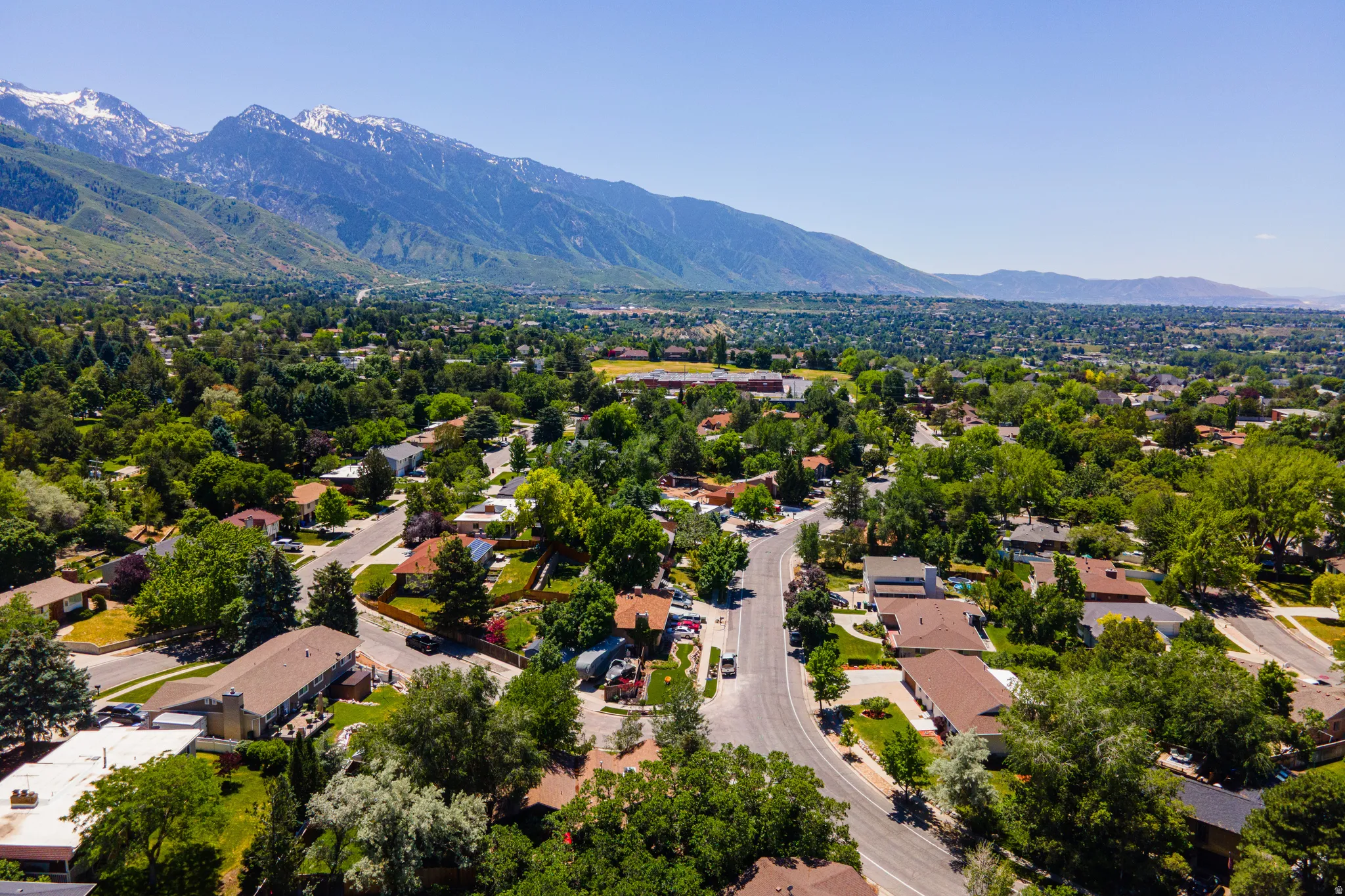 Expansive aerial capturing a suburban neighborhood with mature trees