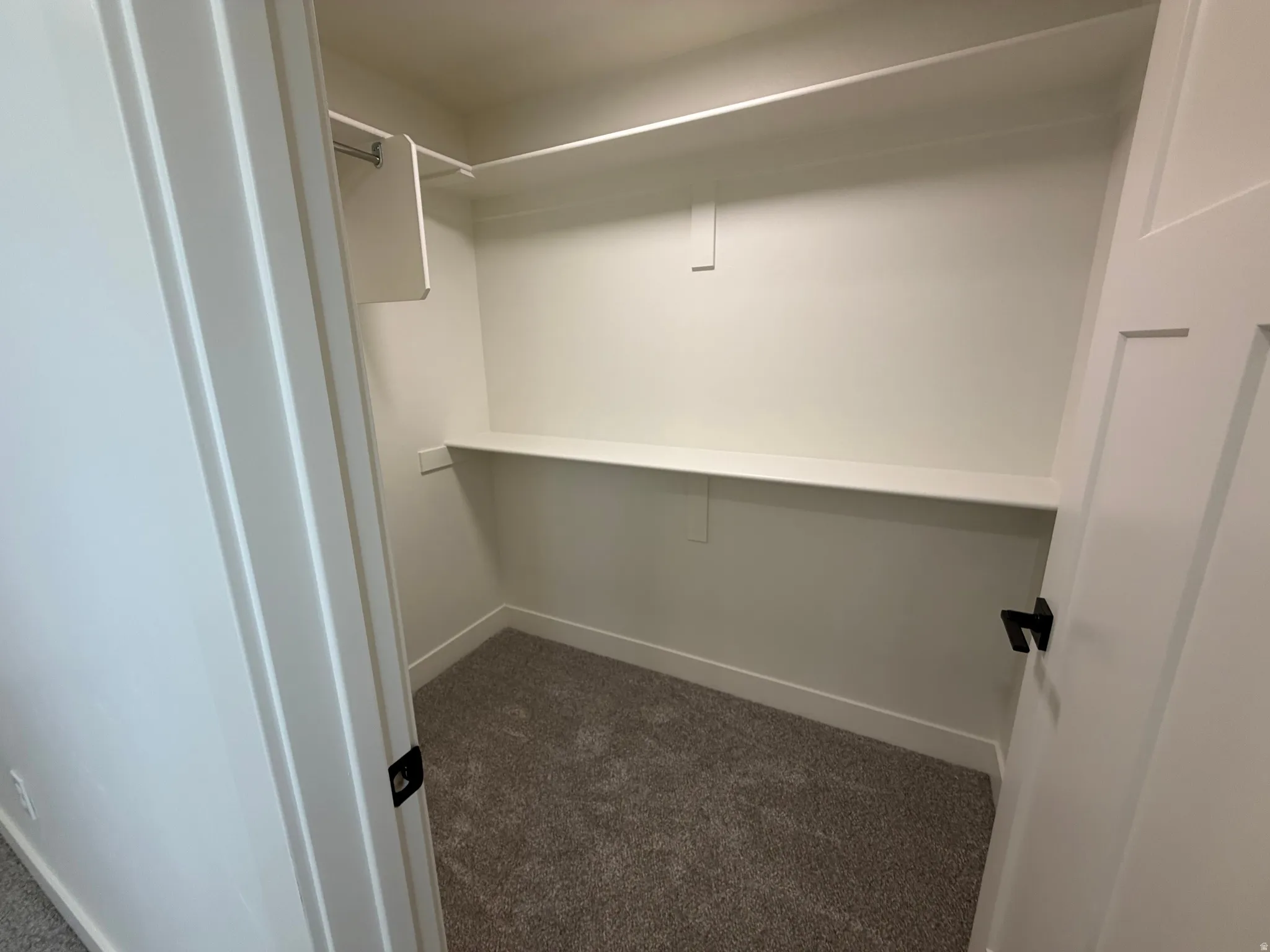 Walk-in closet featuring built-in shelving, hanging rod, and neutral-toned carpet flooring