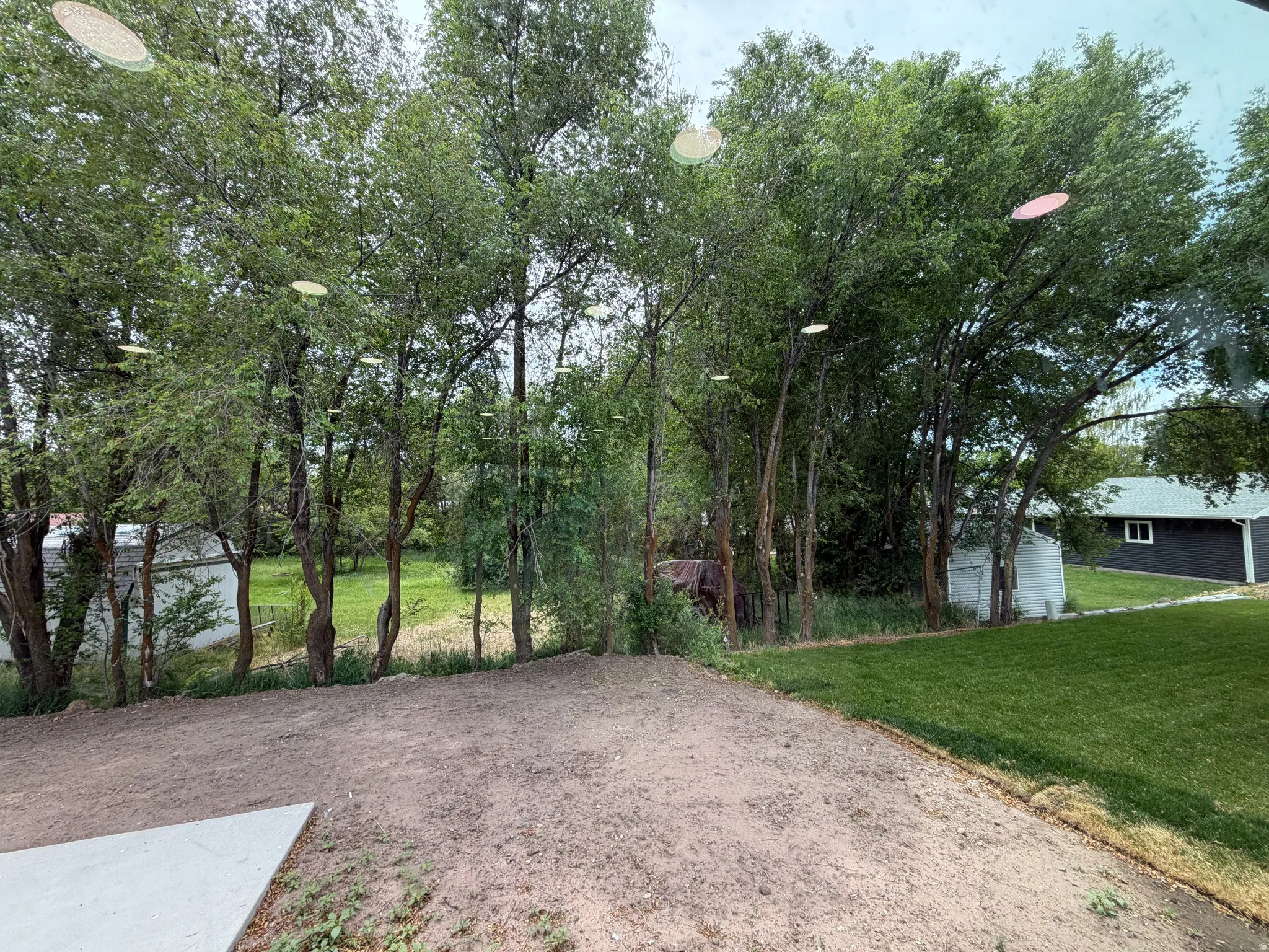 Backyard area featuring an expanse of bare soil, a concrete patio section, and a strip of manicured lawn