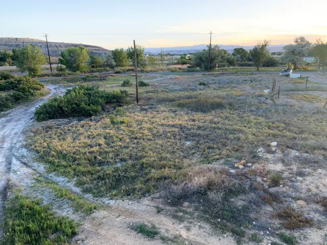 Expansive open lot featuring natural ground cover, mature trees, and a distant mountain backdrop