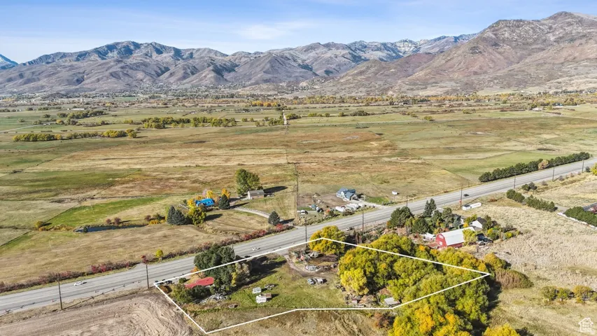 Expansive aerial showcasing a property bordered by a paved road and mature trees