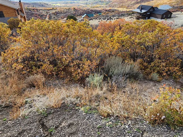 Expansive hillside property featuring mature autumn foliage and distant mountain terrain