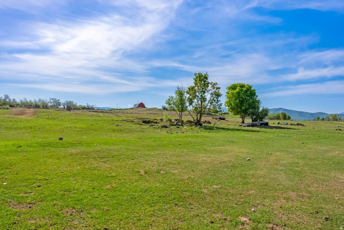 Expansive green landscape featuring varied terrain, natural tree growth, distant red barn structure, and mountain range backdrop