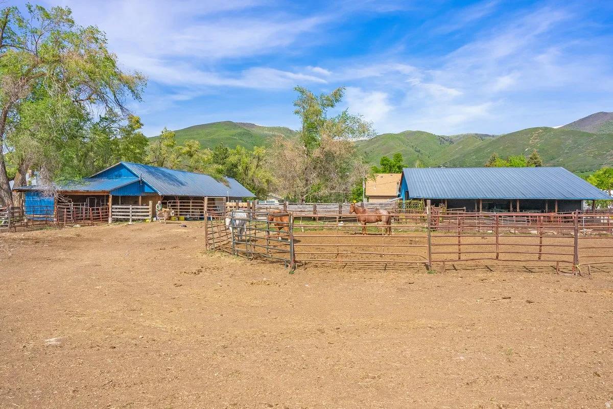 Expansive outdoor area featuring multiple fenced enclosures and two large barns with metal roofs