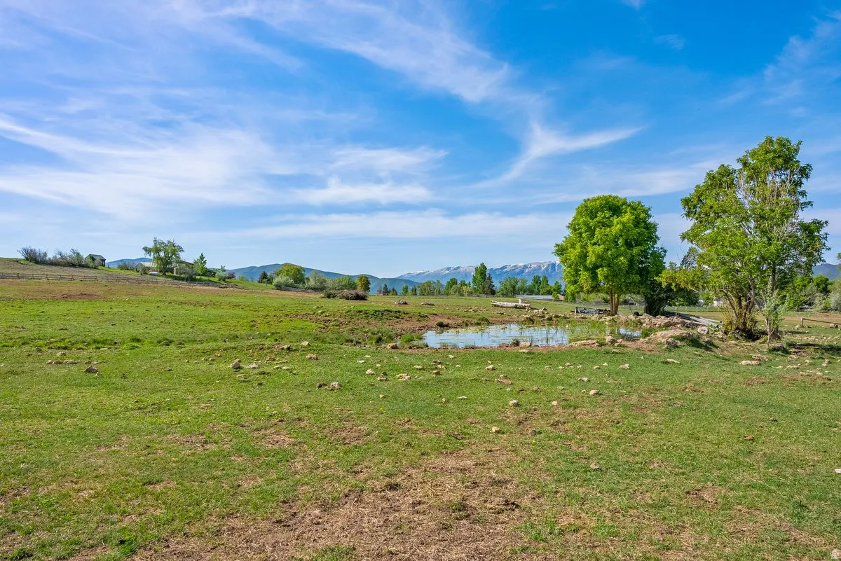 Expansive grassy terrain featuring a natural pond, mature trees, and distant mountains
