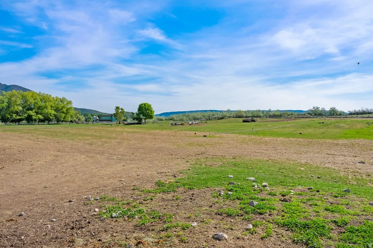 Expansive open field featuring varied ground cover, distant trees, and a mountain backdrop