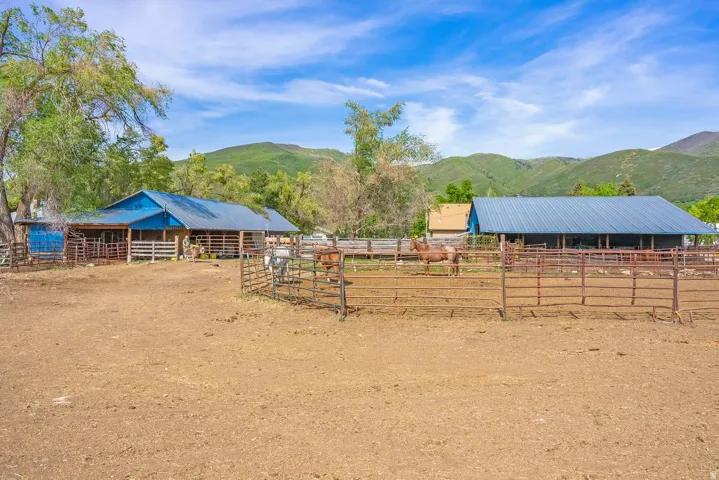 Expansive outdoor area featuring multiple fenced enclosures and two large barns with metal roofs