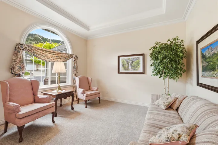 Arched window with mountain scenery, tray ceiling, crown molding, light neutral wall color, and plush carpeting