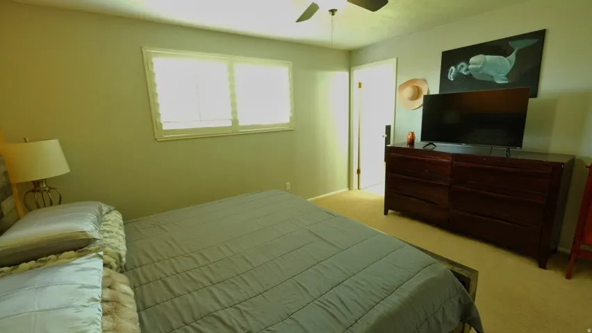 Neutral-toned walls complement plush carpeting
