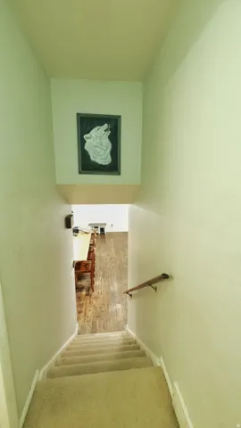 Carpeted staircase descending to a lower level featuring wood-finish flooring and a partial wood handrail