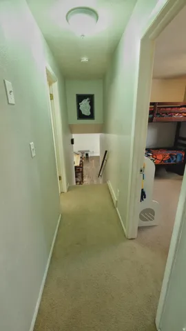 Carpeted hallway featuring light-toned walls and an overhead flush mount light fixture