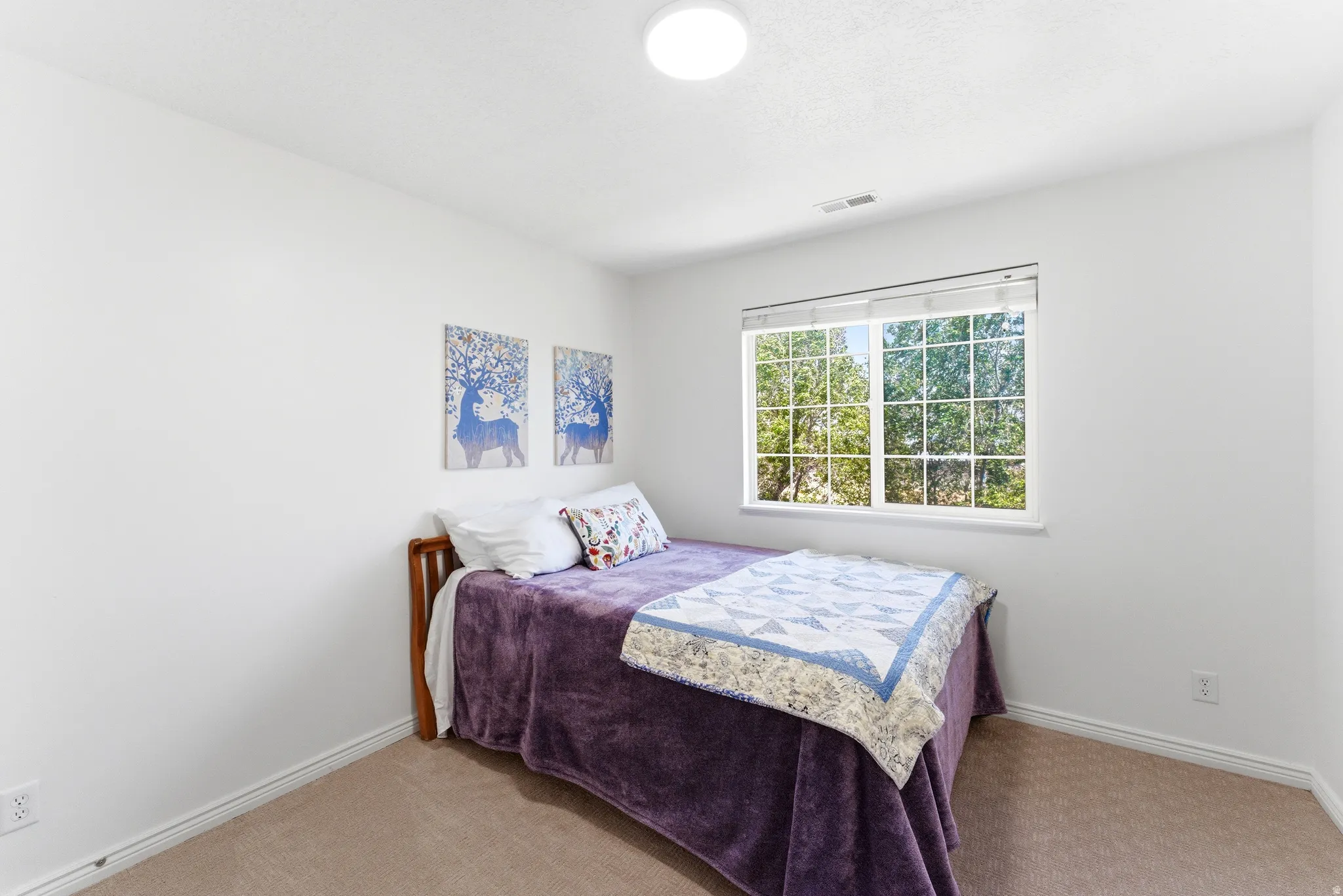 Bright room featuring a single window, overhead flush-mount lighting, and neutral carpet flooring